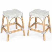 Home Square 2 Piece Rattan Counter Stool Set in Gray and White