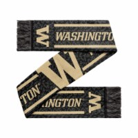 Classic Impression University Washington Gray Big Logo Scarf Perspective: Main