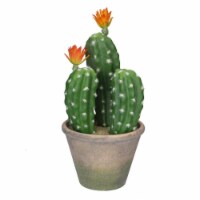 Allstate 34154930 12.5 in. Flowering Column Cactus in A Ceramic Pot with Flowers, Green