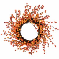 Northlight 14 Orange and Red Berry Artifical Fall Harvest Twig Wreath, 14-Inch, Unlit