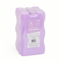 Manna™ Light Purple Hard Ice Pack Set Of 5 Perspective: Main