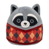 Grey Raccoon