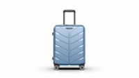 Luggage Fred Meyer