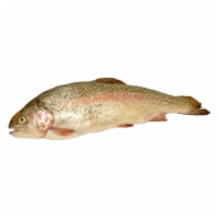 Whole Rainbow Trout