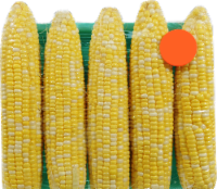 Bi-Color Corn