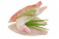Fresh Snapper Fillets