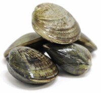 Steamer Clams
