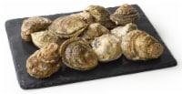 Live In-Shell Oysters Perspective: Main