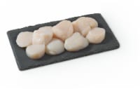 Sea Scallops