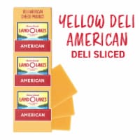 Land O' Lakes Yellow American Cheese Fresh Sliced Deli Cheese