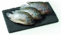 Fresh Tilapia Whole (sustainably sourced) Perspective: Main