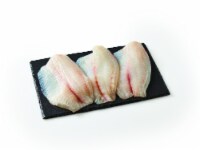 Fresh Tilapia Fillet (sustainably sourced) Perspective: Main