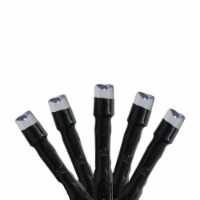 Kaemingk 192 Battery Operated White LED 8-Function Christmas Lights - 47.75 ft Black Wire