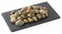 Live Manila Clams (sustainably sourced) Perspective: Main
