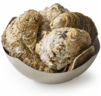 Live In-Shell Oysters Perspective: Main