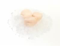 Easy For You Seafood - Wild 10/20 Sea Scallop (NOT AVAILABLE FOR ORDERS BEFORE 11:00 am DAILY) Perspective: Main