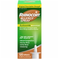 Rhinocort 24-Hour Non-Drowsy Allergy Spray Perspective: Main