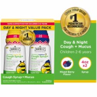 Zarbee's® Children's Berry Day & Nighttime Cough + Mucus Syrup