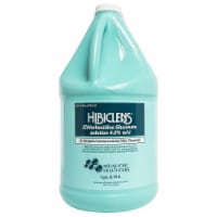 Hibiclens Antiseptic / Antimicrobial Skin Cleanser 1 gal. Liquid NonSterile Jug 1 Each 57591