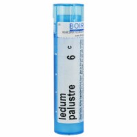 Boiron Ledum Palustre 6c Perspective: Main