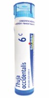 Boiron Thuja Occidentalis 6c Homeopathic Medicine Perspective: Main