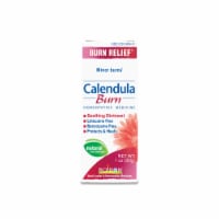Boiron Calendula Burn Minor Burn Relief Ointment
