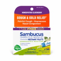 Boiron Sambucus Nigra 6C Meltaway Pellets (3 Pack) Perspective: Main