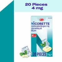 Nicorette Nicotine Behavioral Support Program White Ice Mint Flavor Gum