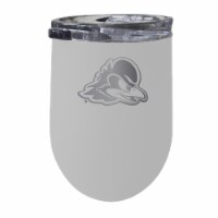 R & R Imports ITWE-C-DEL20W Delaware Blue Hens 12 oz Insulated Wine Stainless Steel Tumbler,