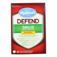 Hyland's DEFEND Sinus 40 Count Perspective: Main