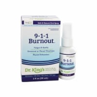 King Bio 9-1-1 Burnout Homeopathic Spray, 2 Ounces Perspective: Main