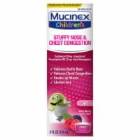 Mucinex Children's Stuffy Nose & Chest Congestion Mixed Berry Liquid Perspective: Main