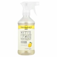 Fruit Of The Earth Meyer Lemon Counter Cleaner, Lemon, 16 fl oz
