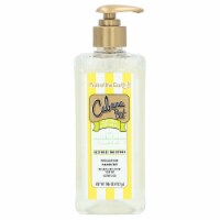 Fruit Of The Earth Aloe Vera With Manuka Honey & Essential Oils After Sun Gel, 16 oz