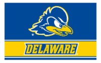 R and R Imports Delaware Blue Hens Wood Sign with Frame
