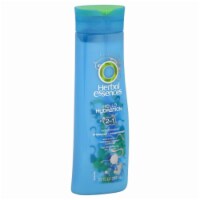 Herbal Essence Hello Hydration Shampoo Perspective: Main