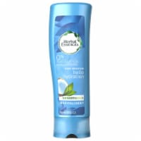 Herbal Essences Hello Hydration Deep Moisture Conditioner Perspective: Main