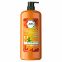Herbal Essences Boosted Volume Body Envy Conditioner Perspective: Main