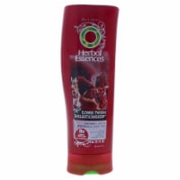 Herbal Essences Long Term Relationship Conditioner Perspective: Main