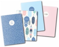 Carpe Diem A6 Notebooks 4/Pkg-Feathers