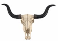 Huge Long Horn Cow Skull Wall Hanging Longhorn Steer 27.5 inch Wide
