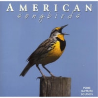 Naturescapes Music American Songbirds CD