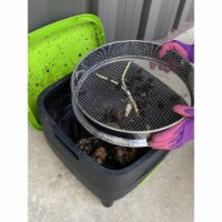 RSI RSI-Sifter 16 in. Round Steel Compost Sifter