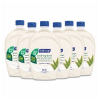 Softsoap Moisturizing Liquid Hand Soap Refill, Soothing Clean Aloe Vera - (Pack of 2)