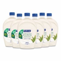 Softsoap Moisturizing Liquid Hand Soap Refill, Soothing Clean Aloe Vera - (Pack of 2)
