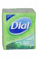 Dial Antibacterial Bar Soap, Mountain Fresh (Pack of 3) Perspective: Main