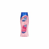Dial Body Wash, Skin Therapy Himalayan Pink Salt & Water Lily (Pack of 8) Perspective: Main