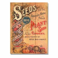 Day Dream HQ WSG1115 11 x 15 in. Vintage Seeds Wall Art