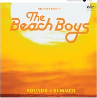 The Beach Boys: Sounds Of Summer (Vinyl) Perspective: Main