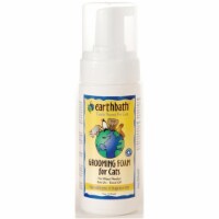 Earthbath 602644028015 Hypo Allergenic Cat Foam 4oz